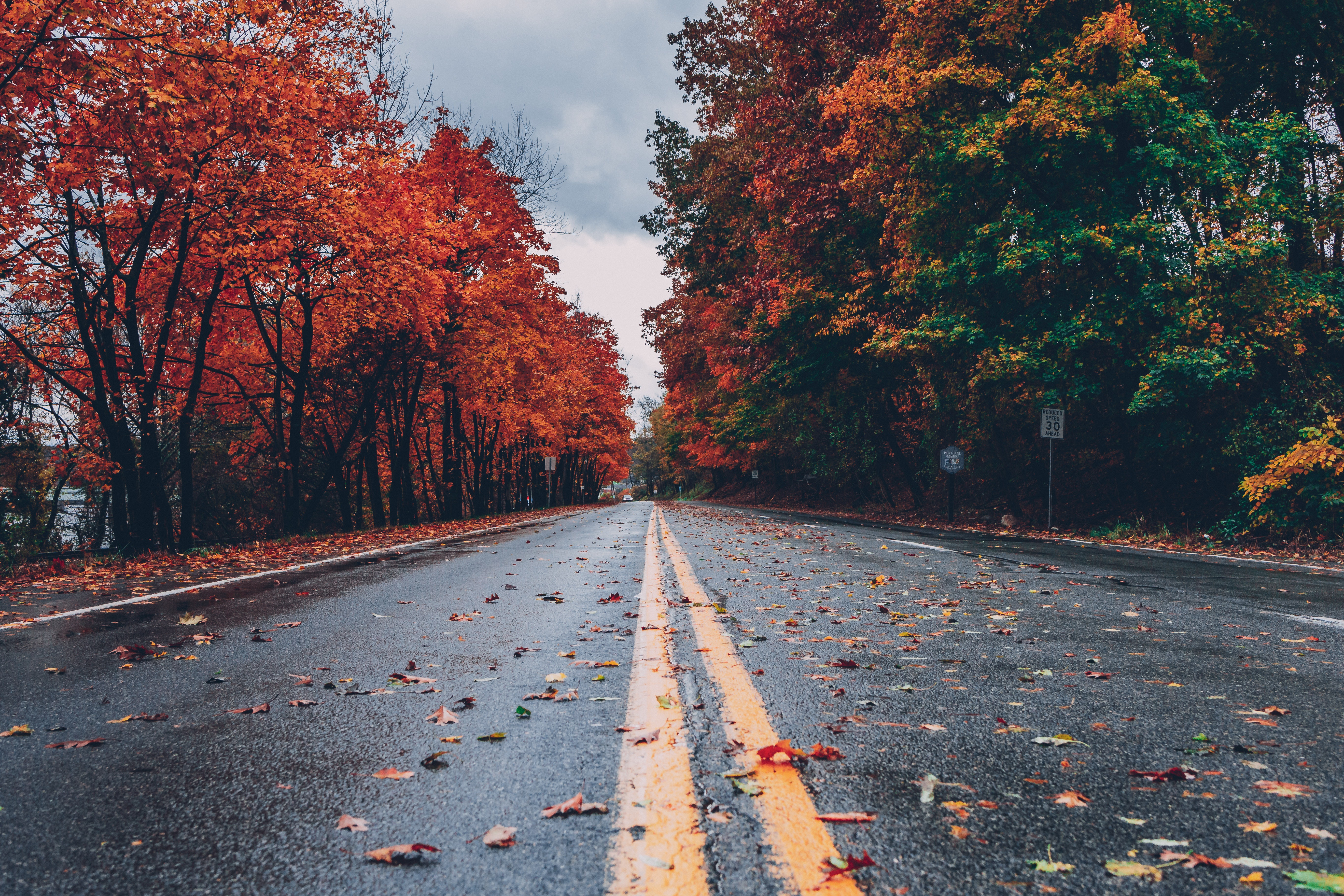 autumn road