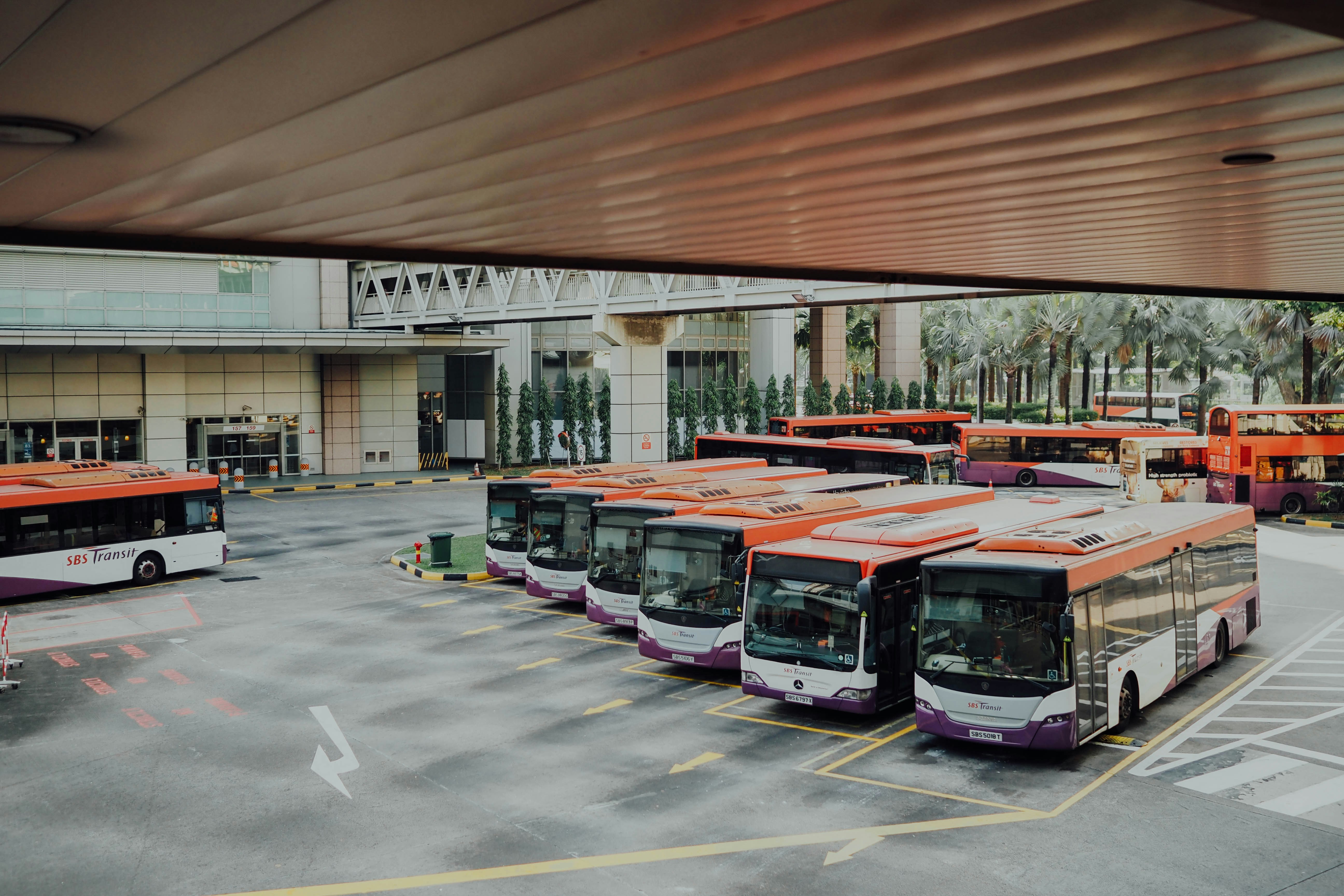 rows of busses