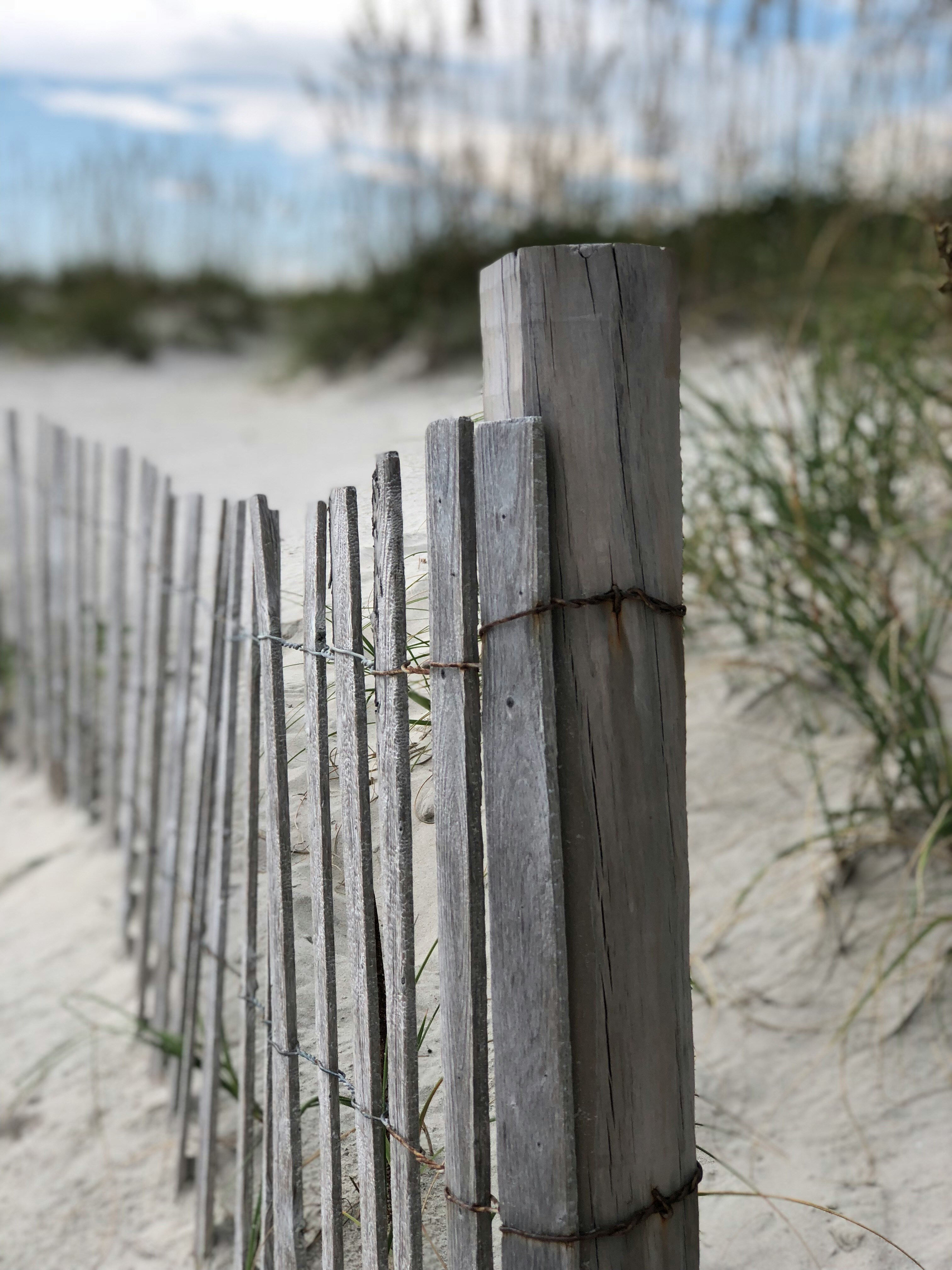 fence on the beach