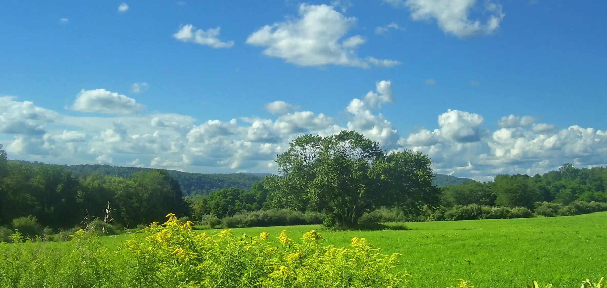 View of Dutchess, New York