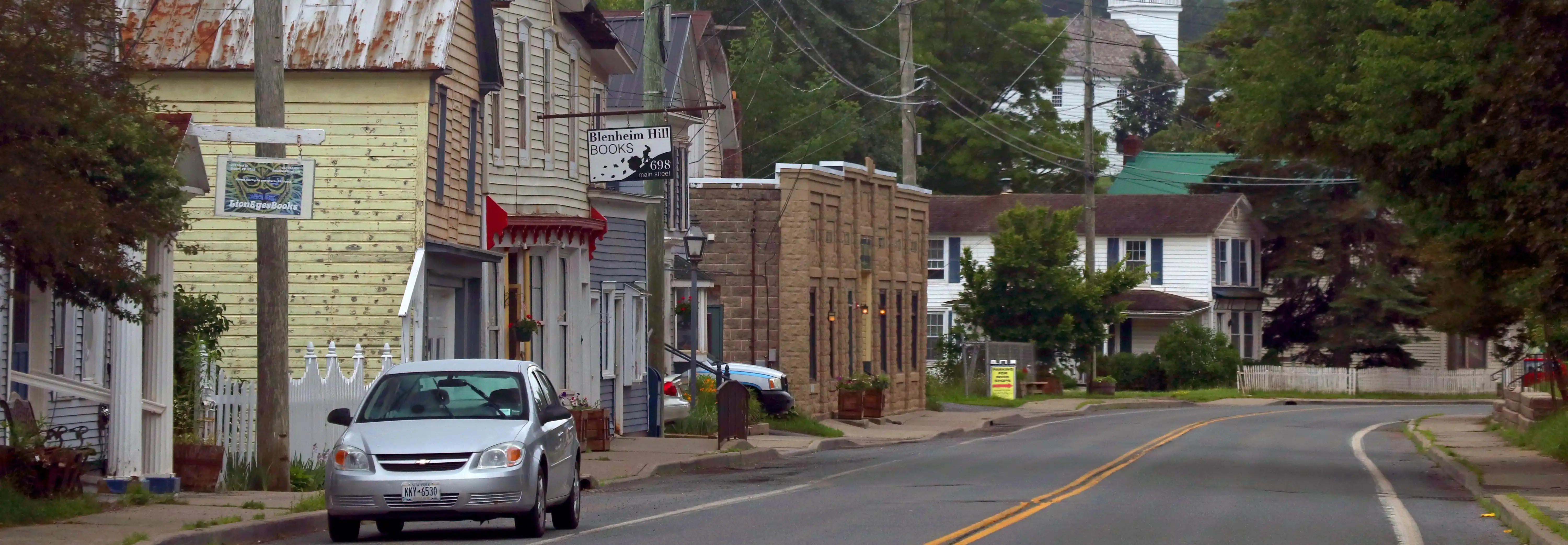 View of Hobart, New York