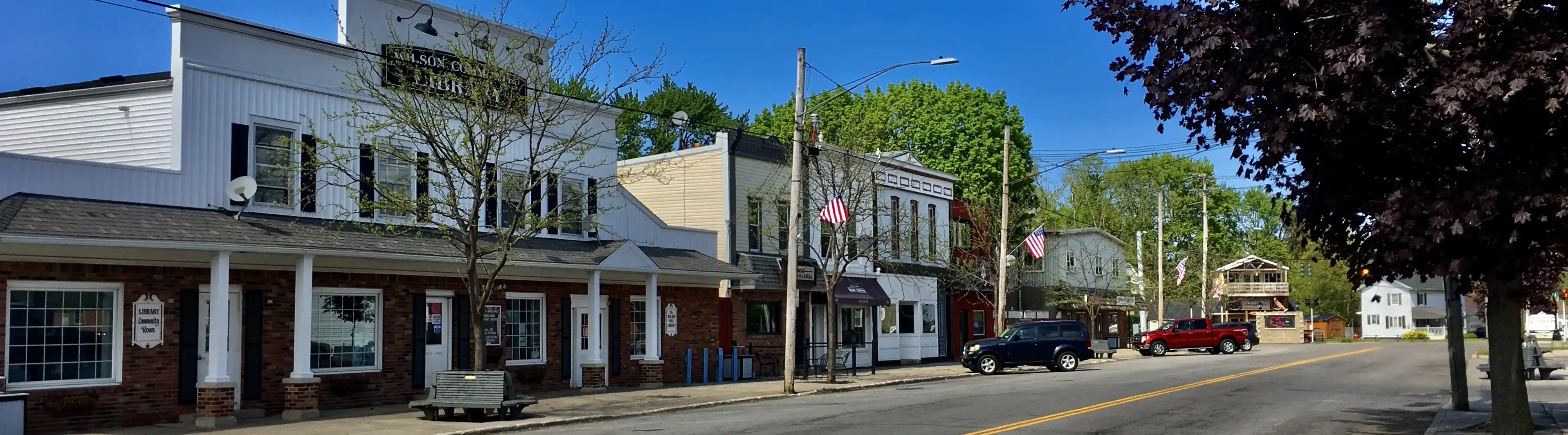 View of Wilson, New York