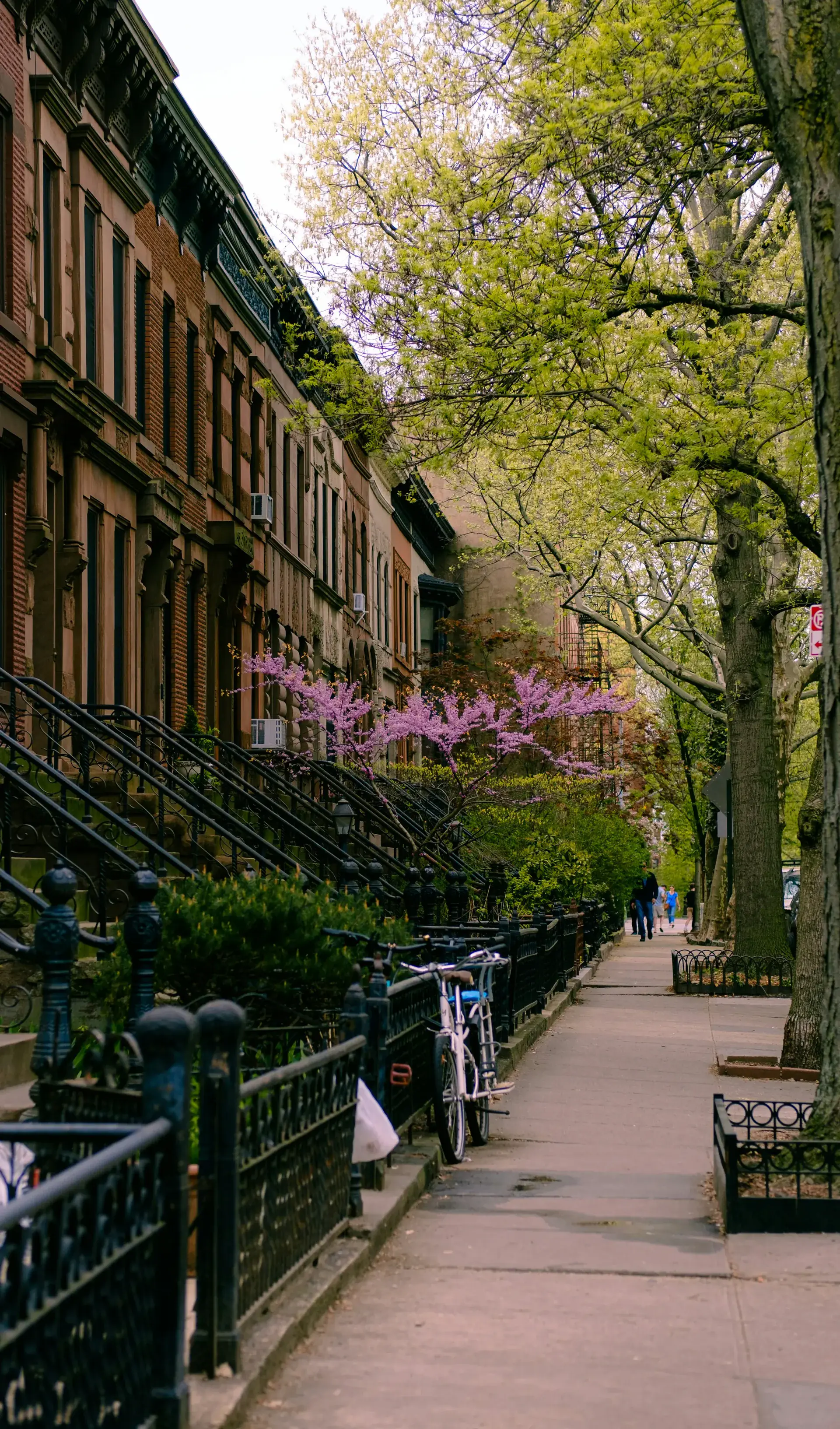 View of Park Slope, New York