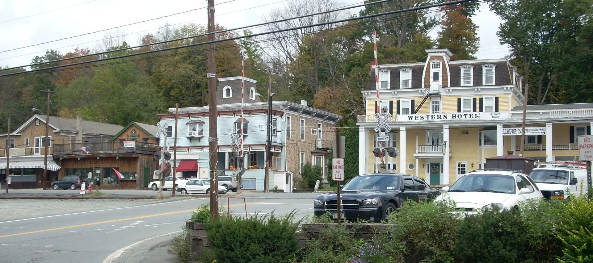 View of Delaware, New York