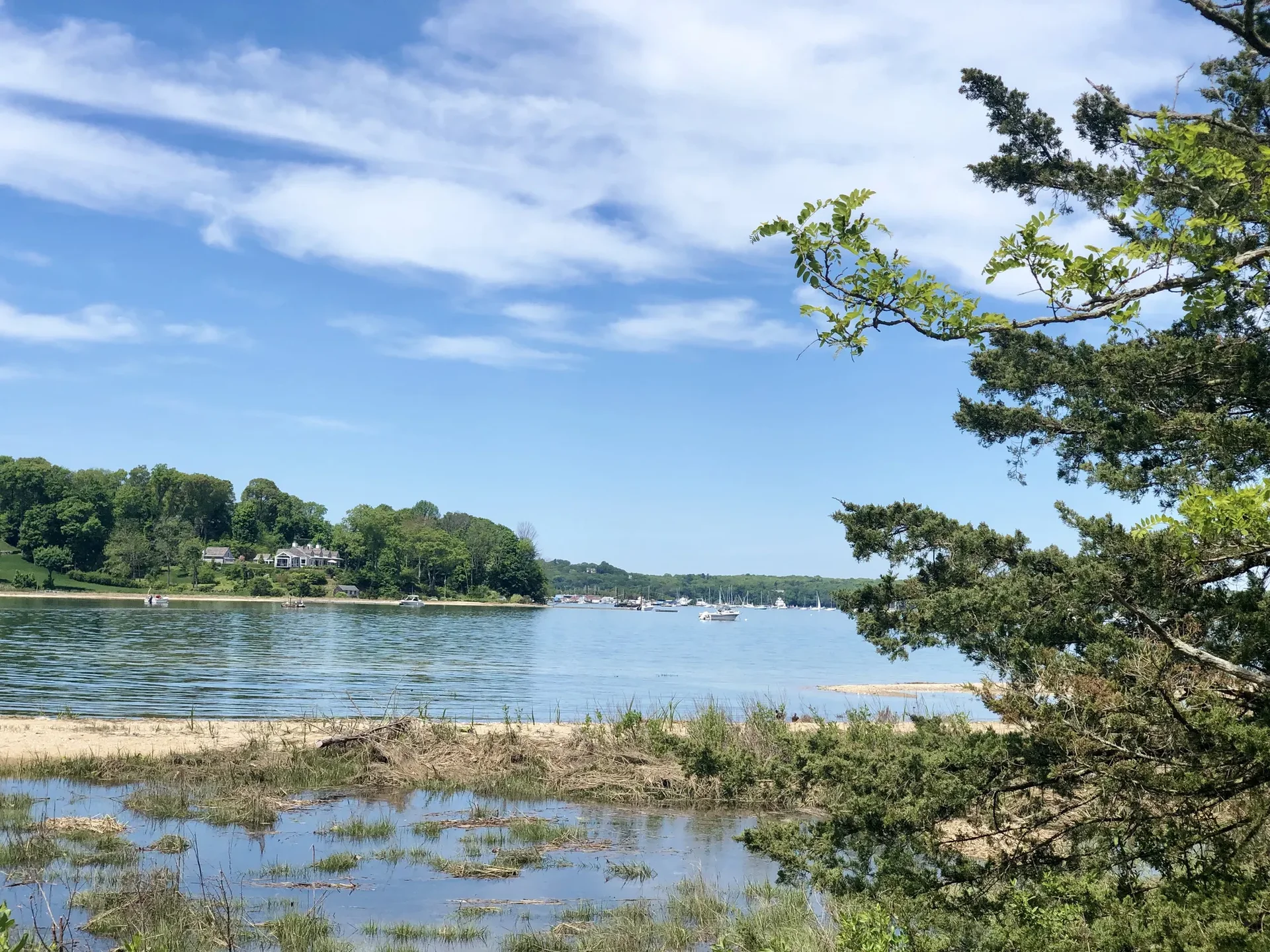View of Cove Neck, New York