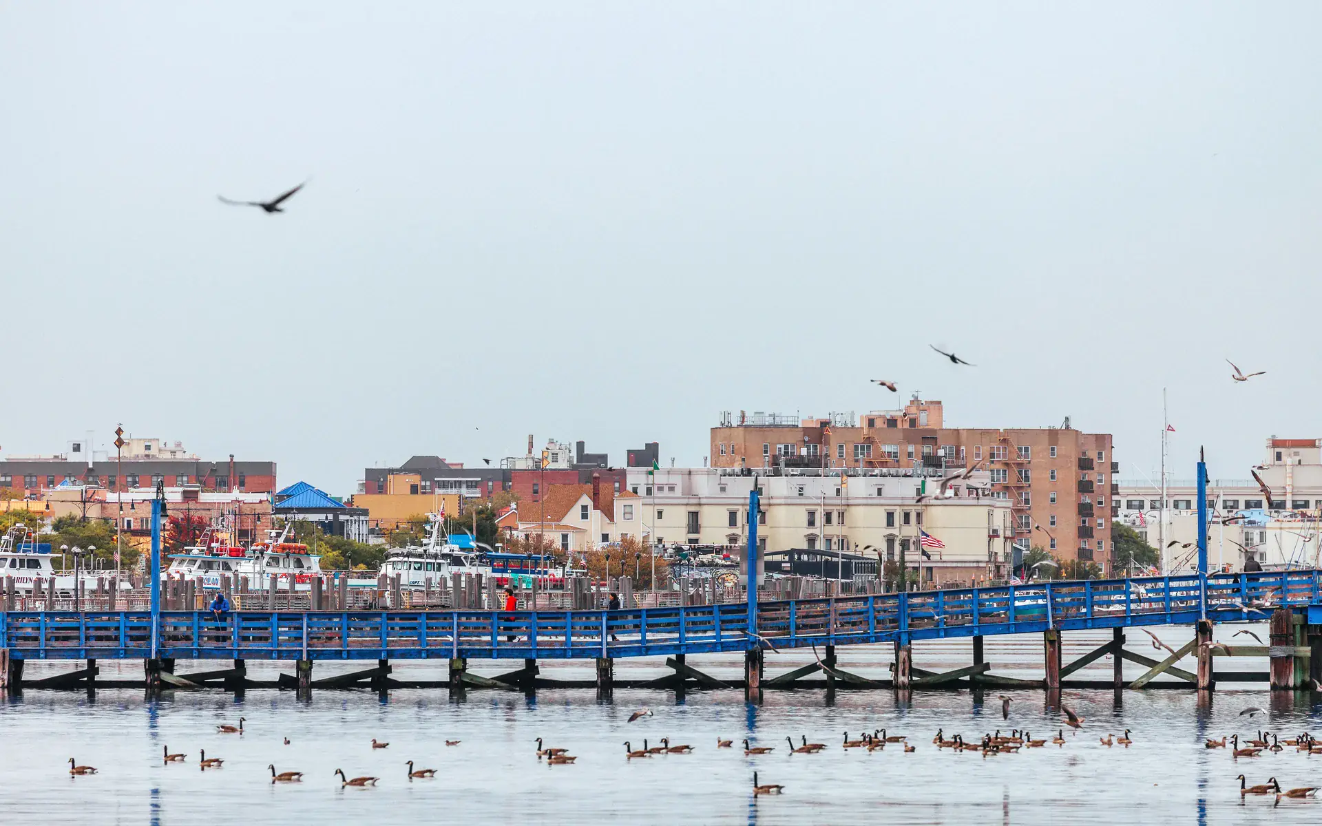 View of Bergen Beach, New York