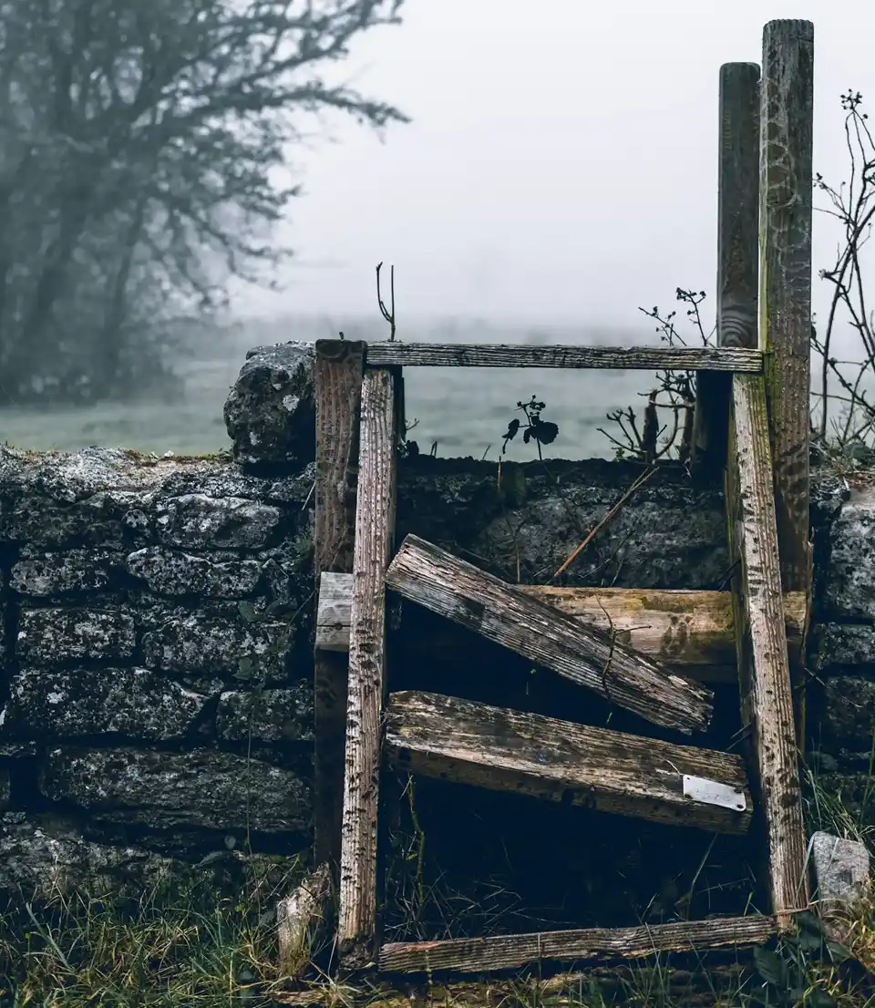 Header image