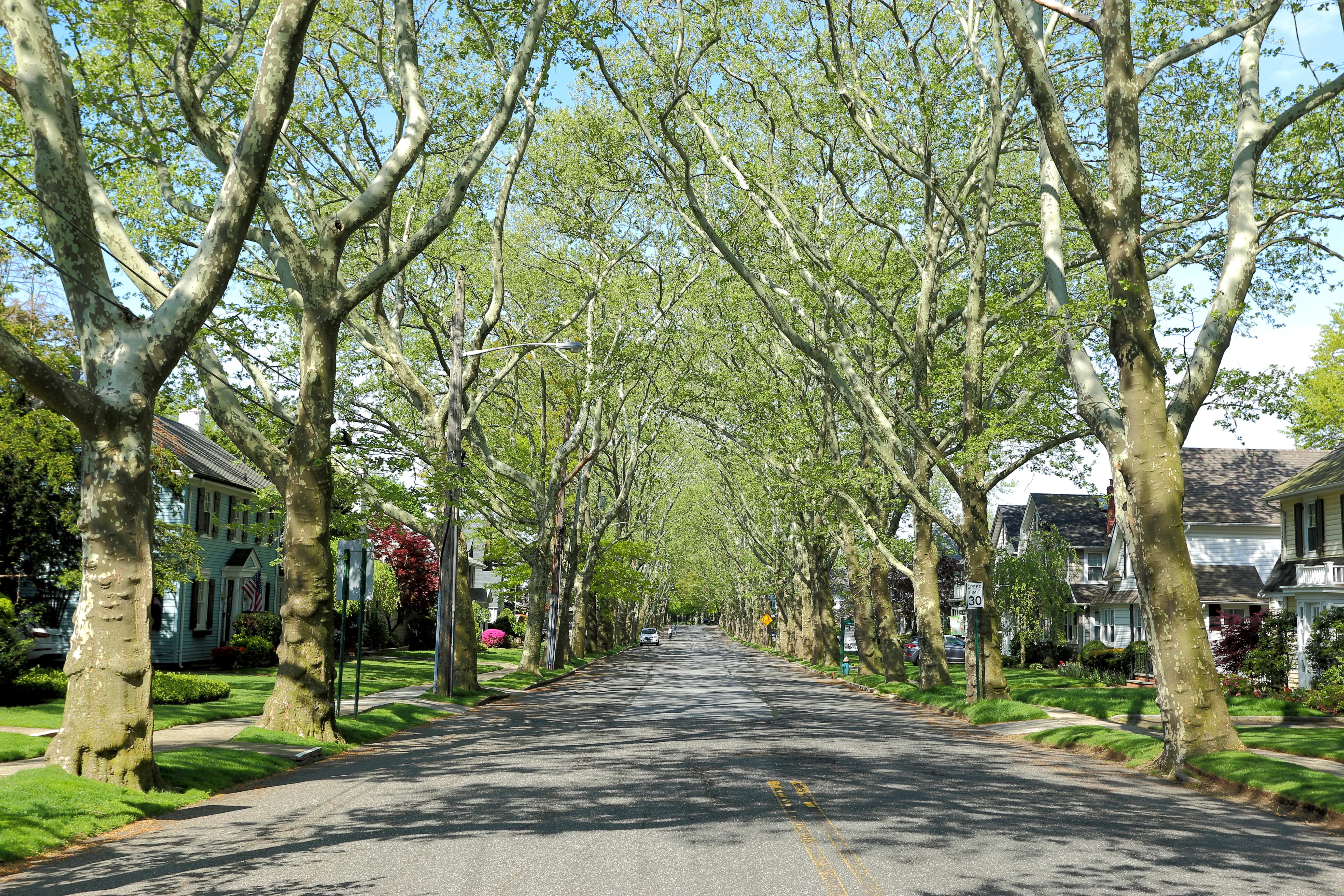 View of Kew Gardens Hills, New York