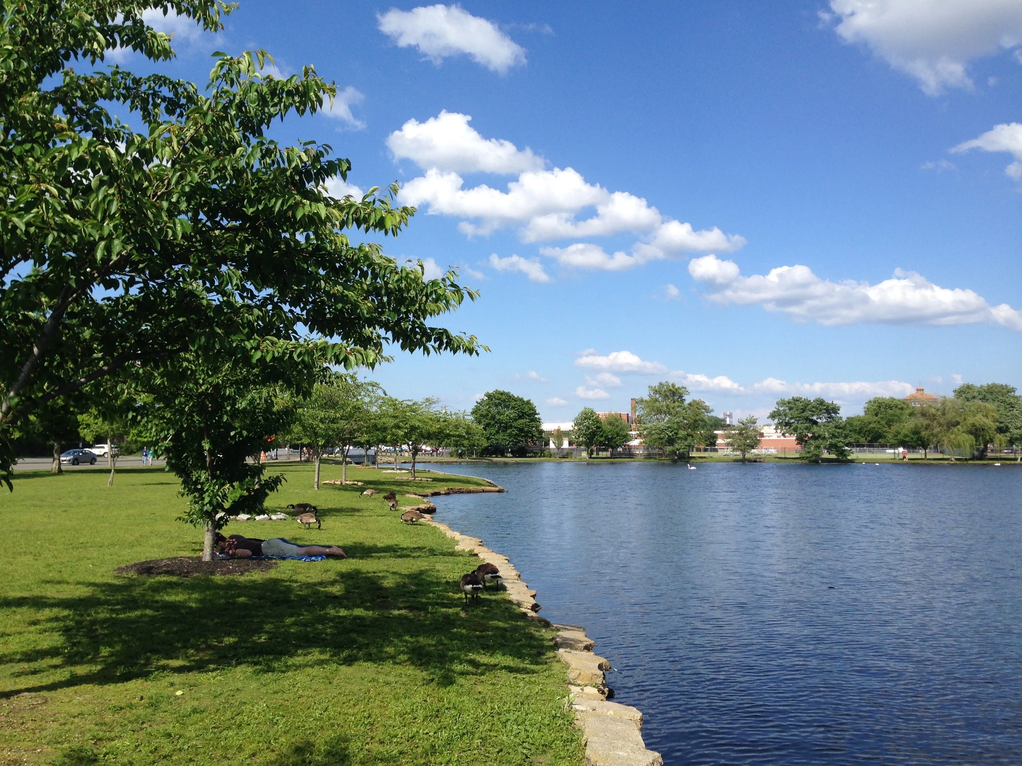 View of Deer Park, New York