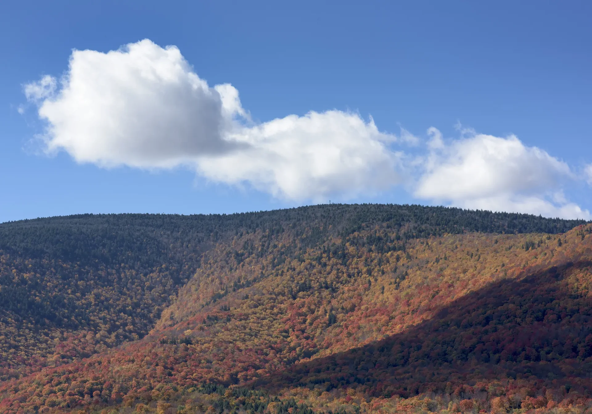 View of Windham, New York