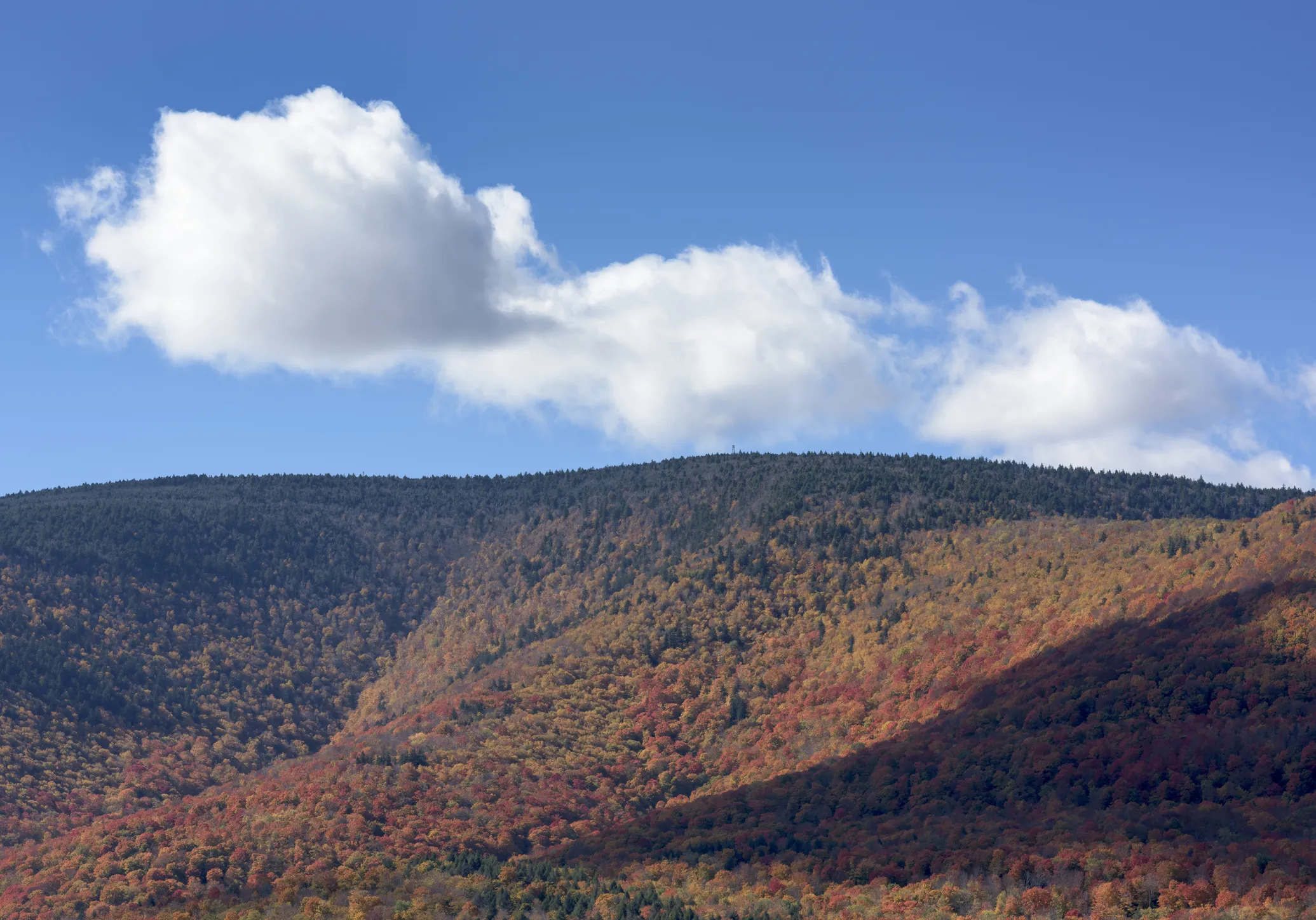 View of Windham, New York