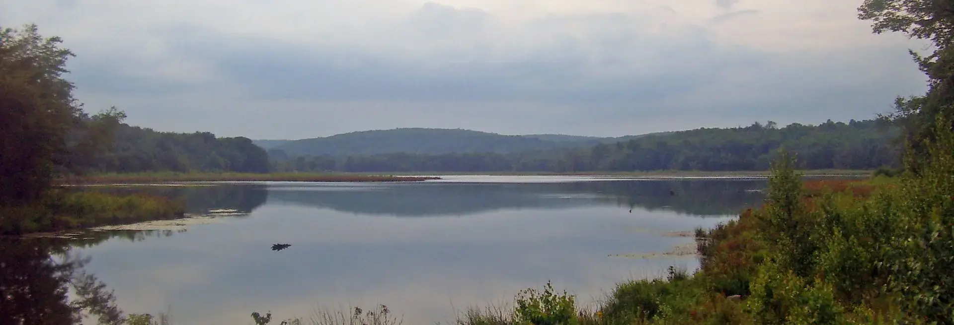 View of Woodridge, New York